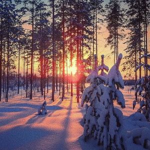 男人天堂久久加勒比婷婷五月天
